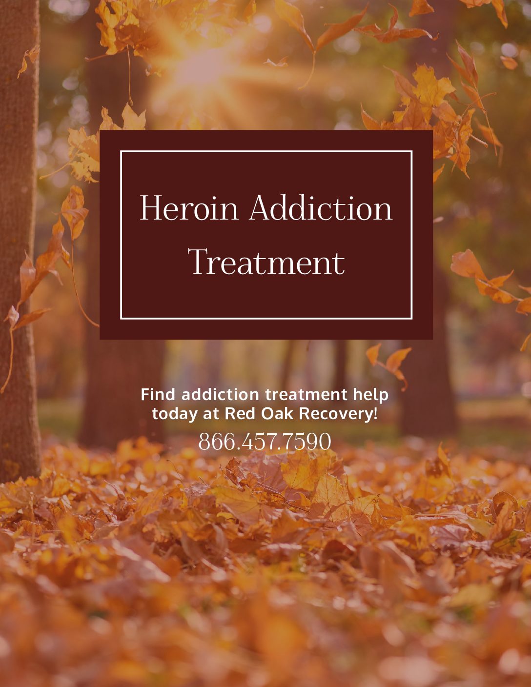 Red Oak Heroin Addiction Treatment Pdf